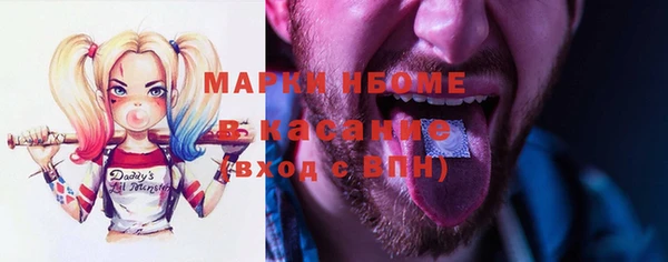 прущие грибы Кукмор