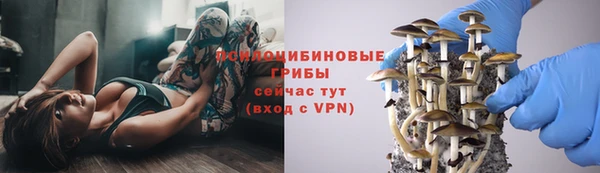 прущий лед Куйбышев