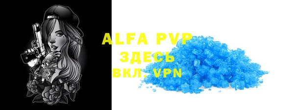 прущие грибы Кукмор