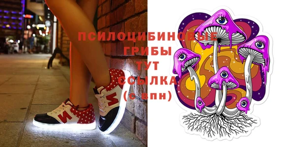 spice Кулебаки