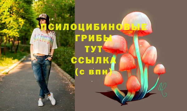spice Кулебаки